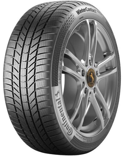 ContiWinterContact TS 830 P